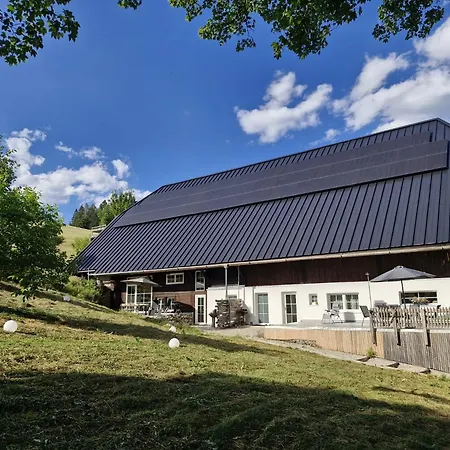 Danielenhof1701, Bruckbach Apartamento Breitnau